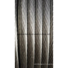 (Aluminum Conductor Steel Reinforced) ACSR Cable /ACSR Conductor